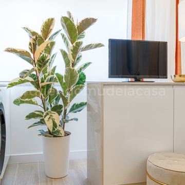 Rodolfo Galvão Home Stylist - Lisboa - Designer de Interiores