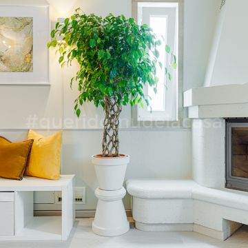 Rodolfo Galvão Home Stylist - Lisboa - Suspensão de Quadros e Instalação de Arte