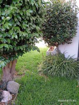 Gardener