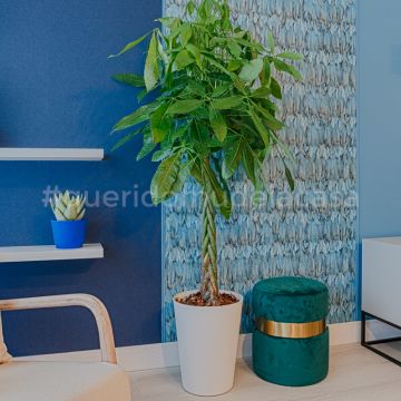 Rodolfo Galvão Home Stylist - Lisboa - Reparação de Cortinas e Cortinados