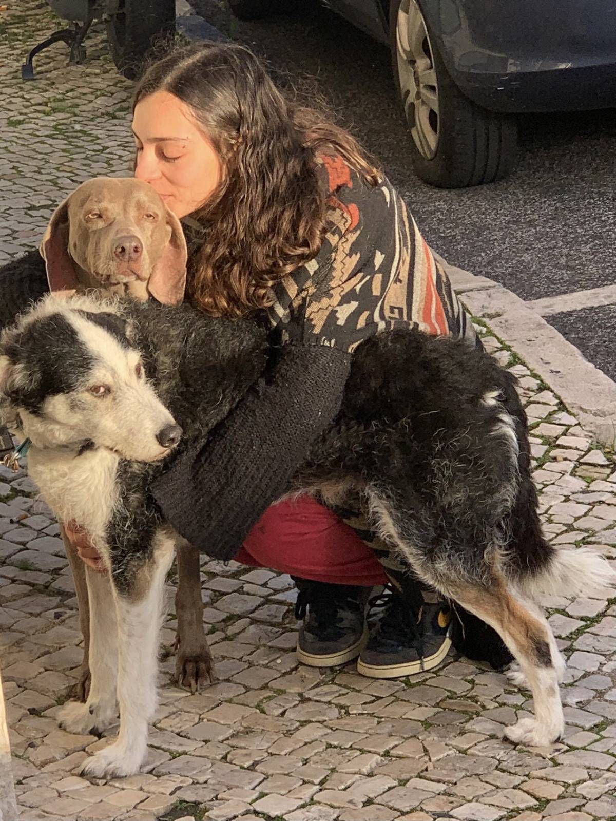 Ema Almeida - Mafra - Creche para Cães