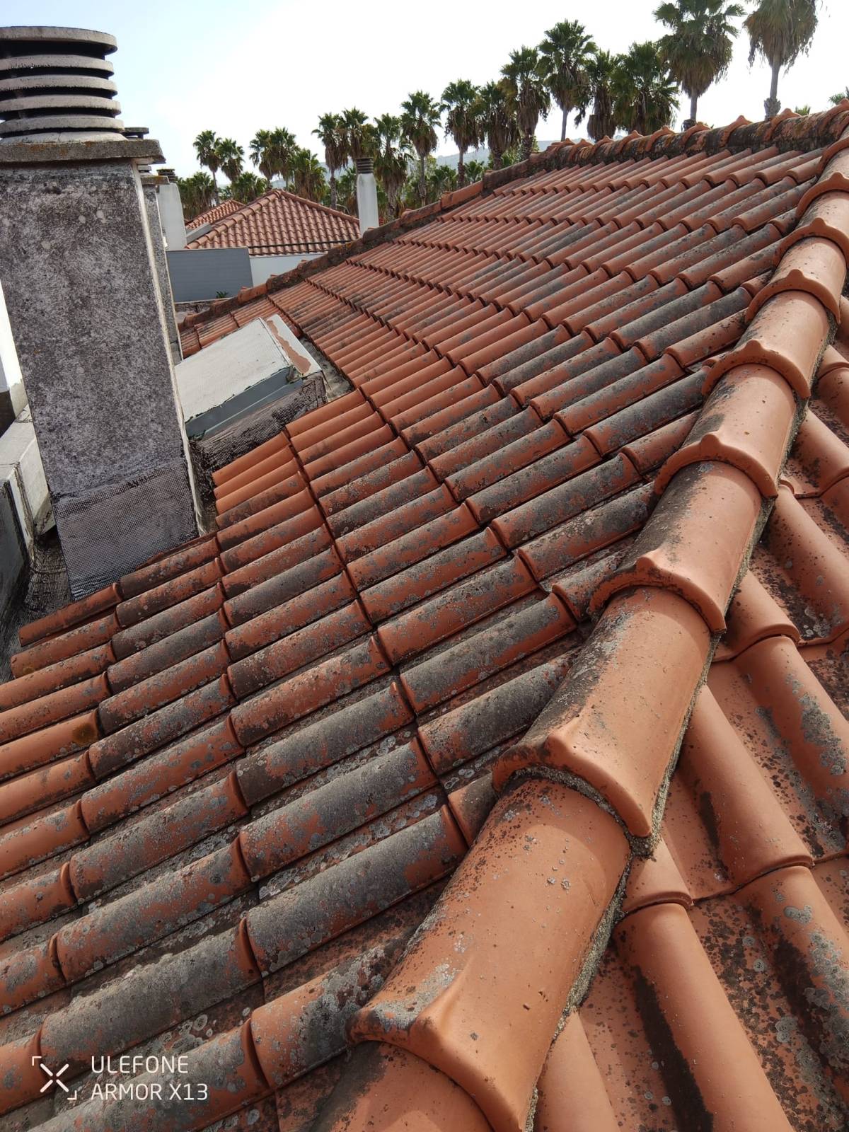 Dangue Service - Impermeabilização & Reabilitação - Vila Franca de Xira - Installation ou remplacement de toiture