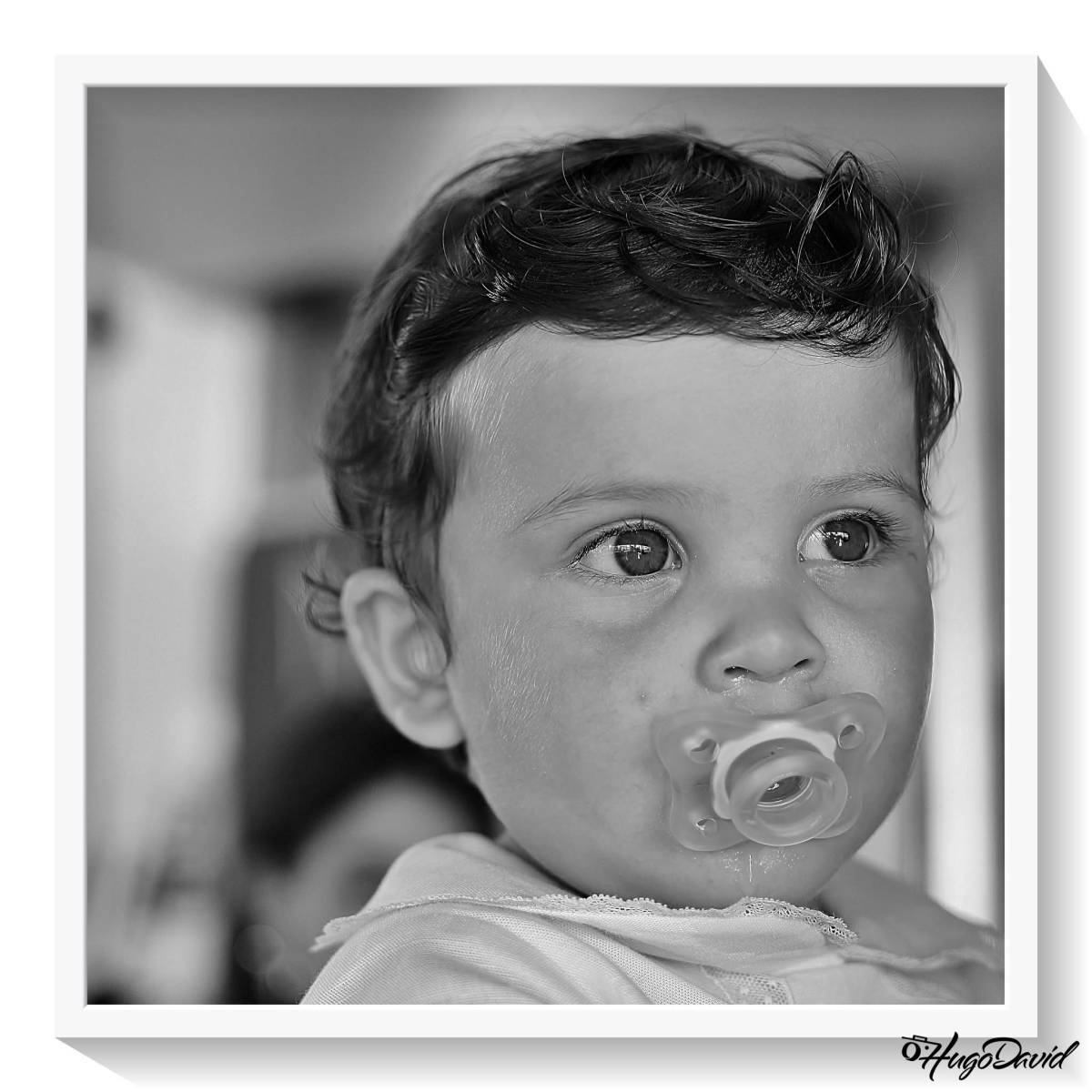 Hugo David Photo's - Vila Franca de Xira - Zirkusnummer