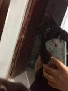 Maria Eduarda - Castelo Branco - Dog Daycare