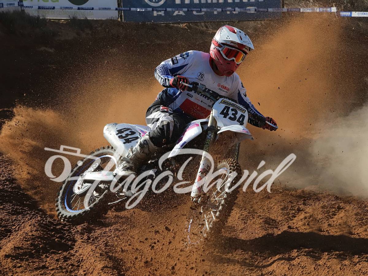 Hugo David Photo's - Vila Franca de Xira - Ballonkünstler