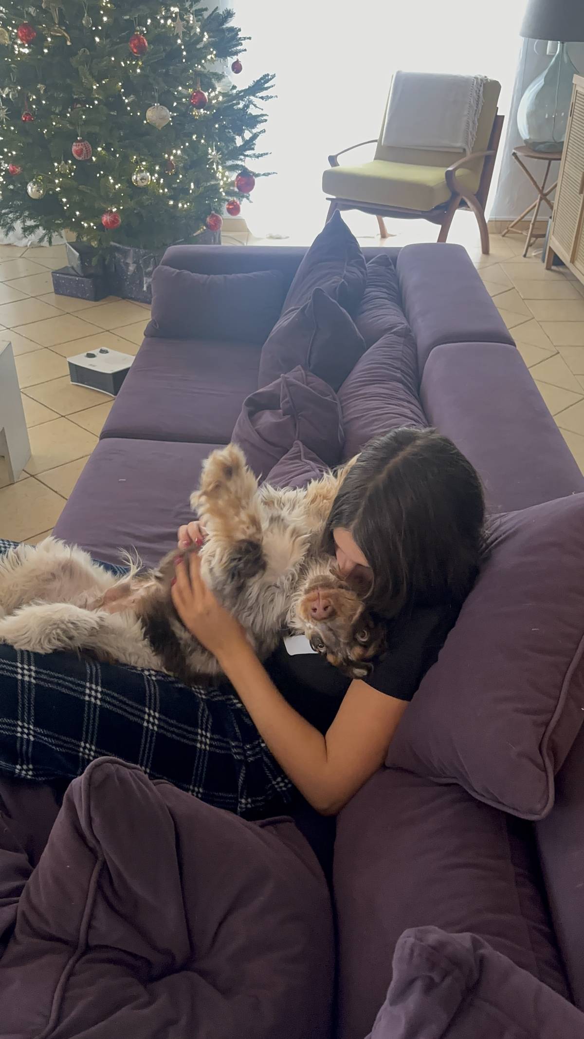 Carolina - Albufeira - Katzensitter