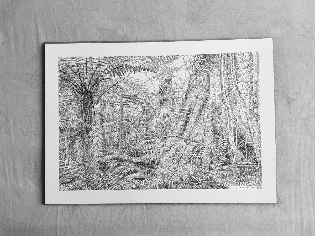 José Carlos Coelho - Santa Maria da Feira - Drawing, Painting and Sculpture classes
