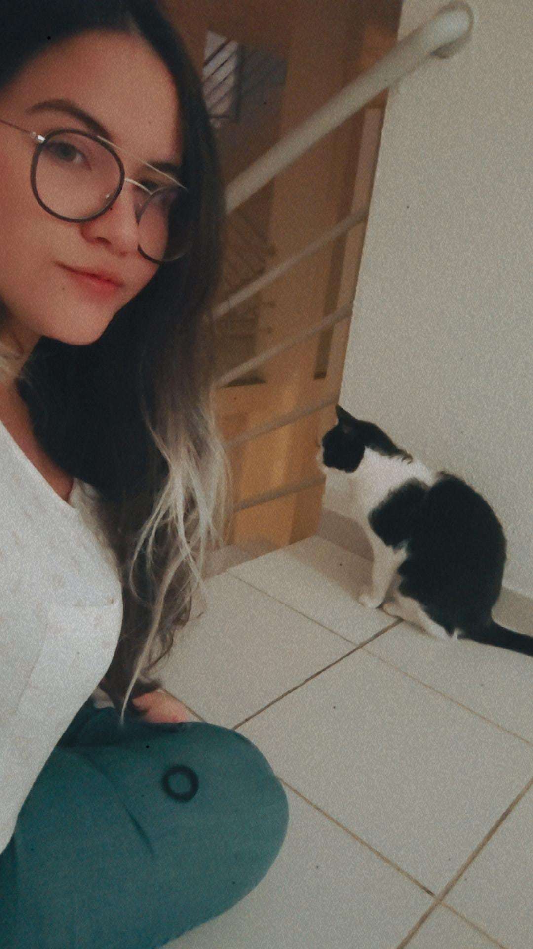 Maria Eduarda - Castelo Branco - Hotel for Cats