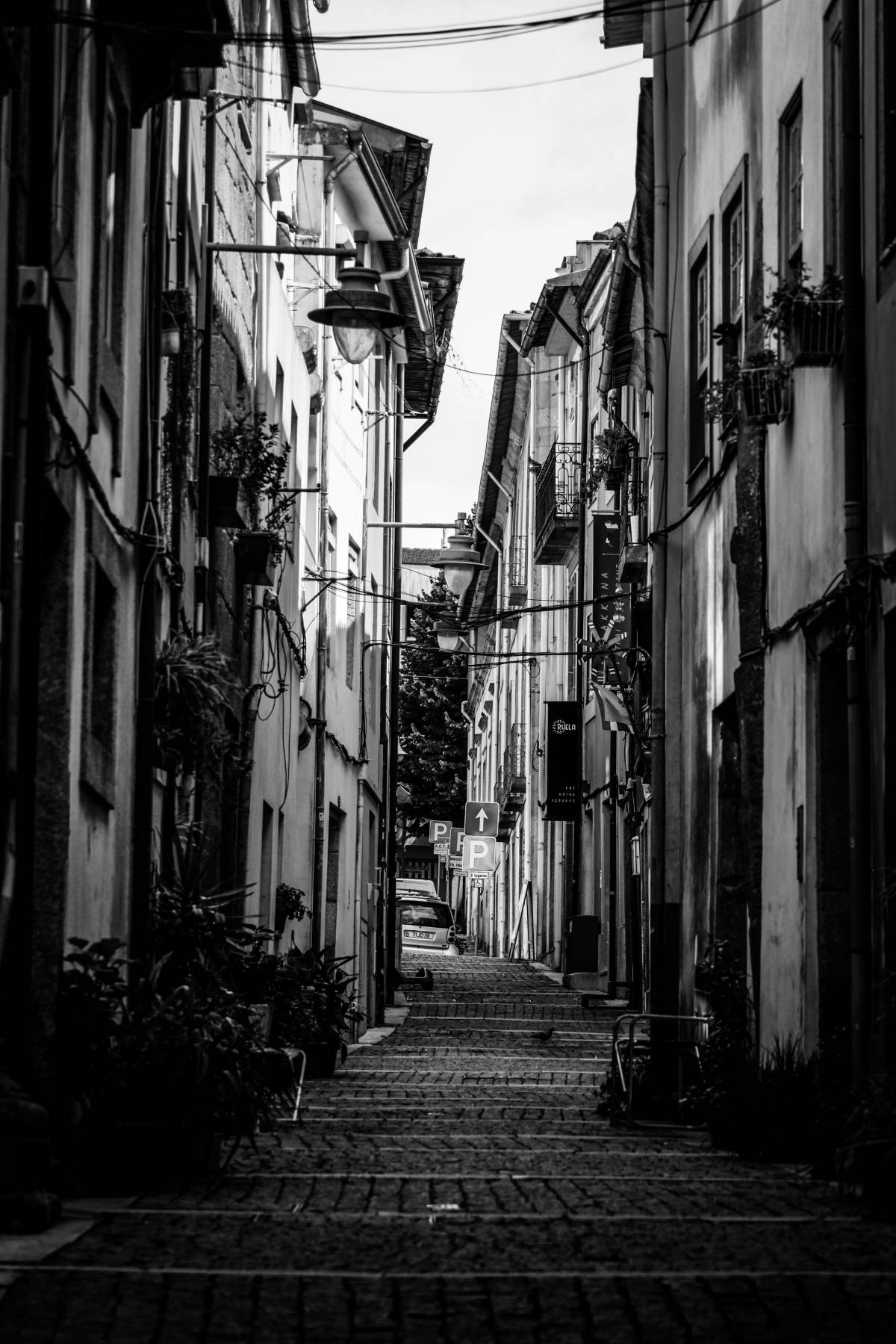 Focus by André - Braga - Fotografia de Bebés