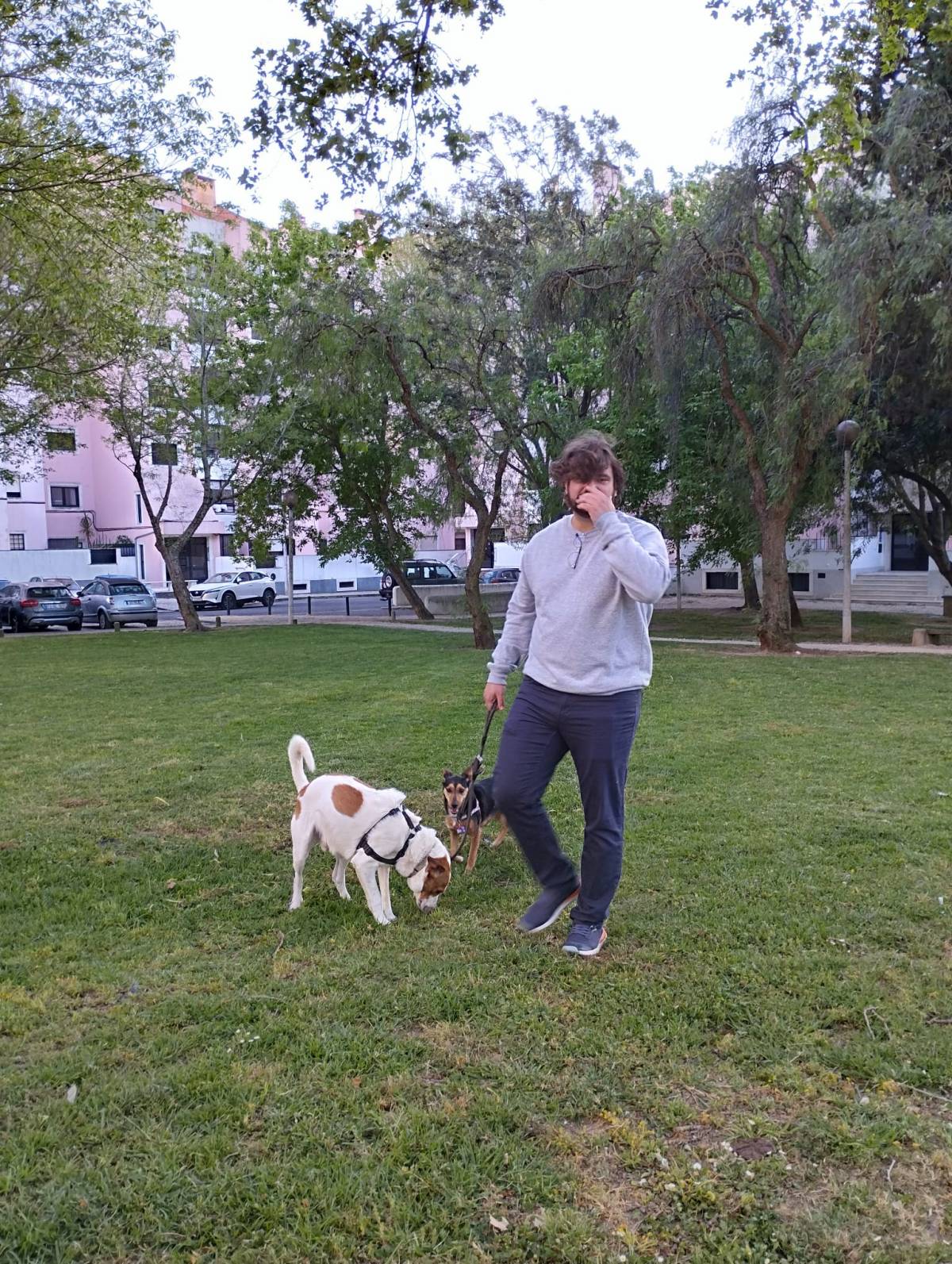 Tomaz - Almada - Dog Walking
