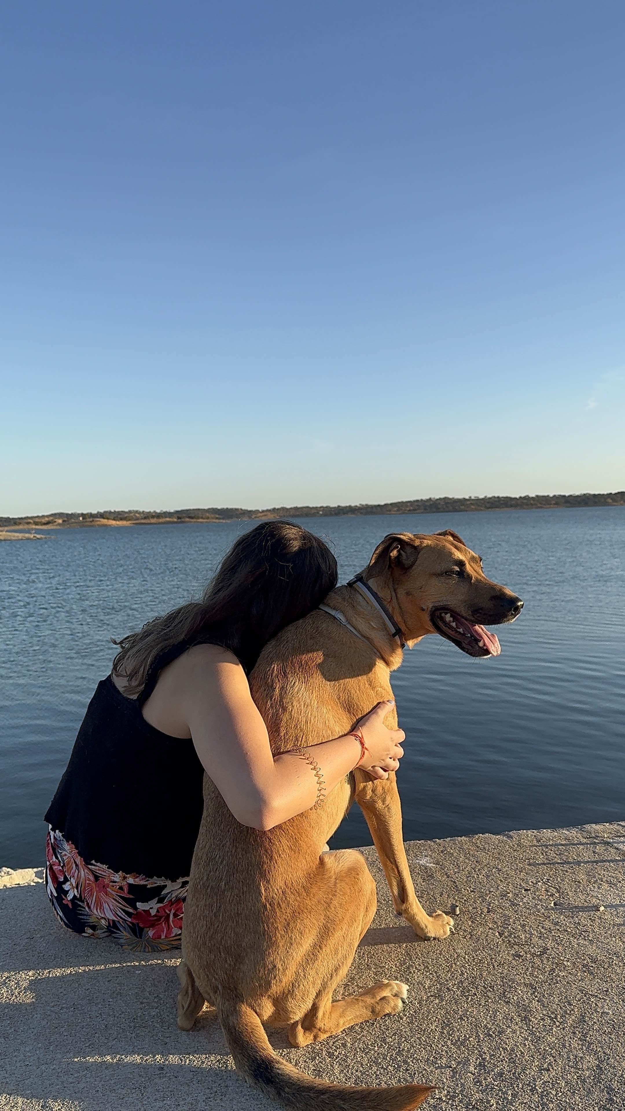 Mariana Santos Miranda - Cascais - Dog Walking