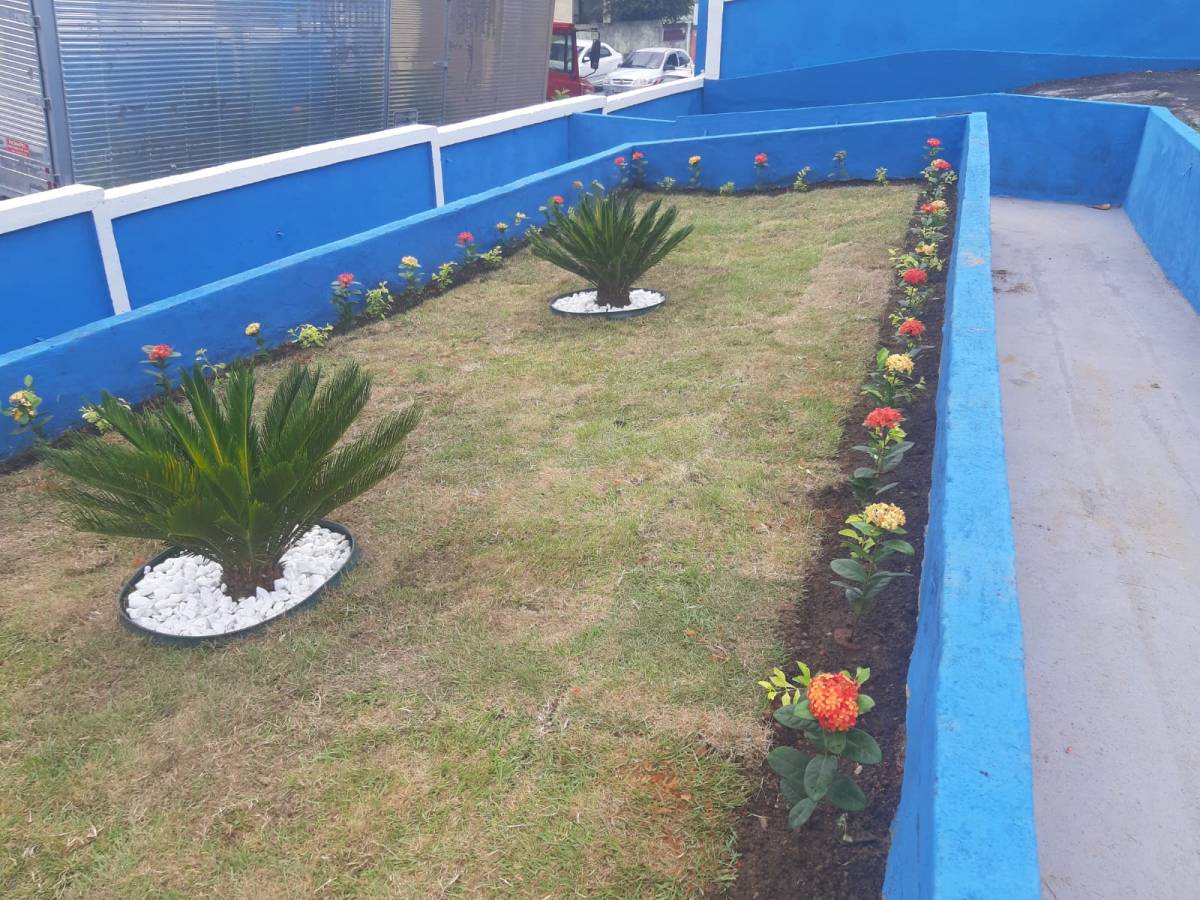 Jackson Jks - Olhão - Shrub Removal