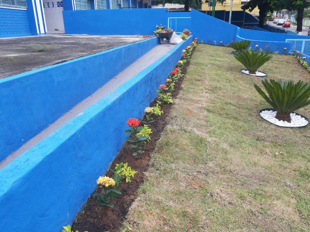 Jackson Jks - Olhão - Tree Stump Grinding and Removal