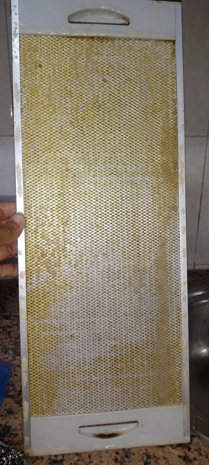 Polylimp serviços de Limpezas - Seixal - Limpeza Geral