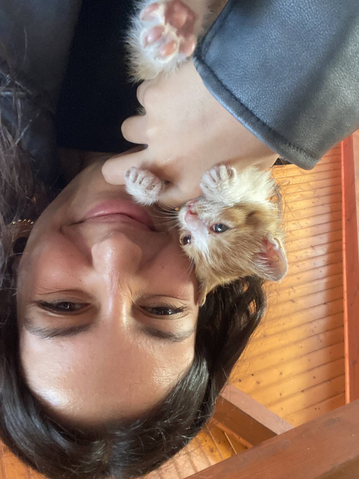 Catarina Carvalho - Porto - Paseador de perros