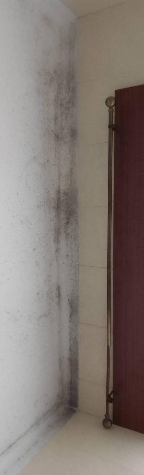 Polylimp serviços de Limpezas - Seixal - Limpeza da Casa (Recorrente)