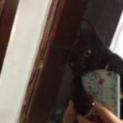 Maria Eduarda - Castelo Branco - Dog Daycare