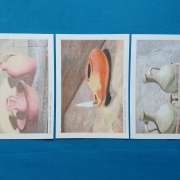 José Carlos Coelho - Santa Maria da Feira - Drawing, Painting and Sculpture classes