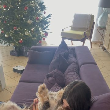 Carolina - Albufeira - Katzensitter