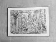 José Carlos Coelho - Santa Maria da Feira - Drawing, Painting and Sculpture classes