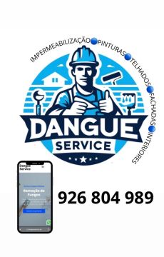 Dangue Service - Impermeabilização & Reabilitação - Vila Franca de Xira - Fenêtres de toit