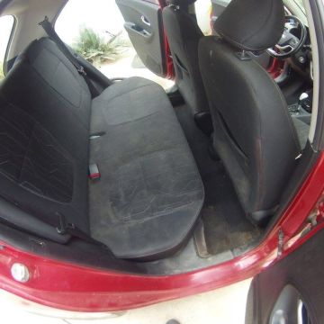 GELID CARE - Amadora - Car Paint
