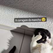 Maria Eduarda - Castelo Branco - Hotel de Animais de Estimação