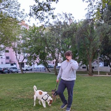 Tomaz - Almada - Dog Walking