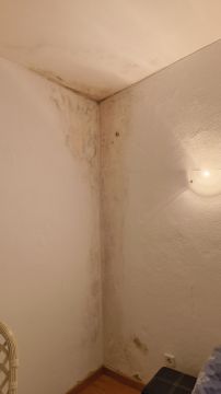 Telhados e Coberturas