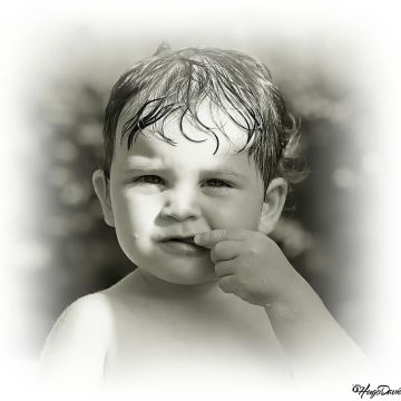 Hugo David Photo's - Vila Franca de Xira - Karikaturist (Unterhaltung)