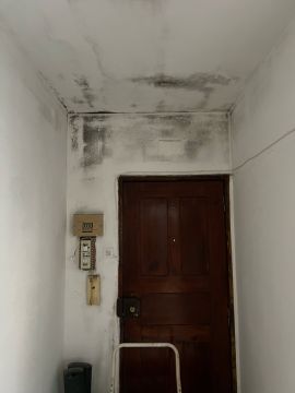 Dangue Service - Impermeabilização & Reabilitação - Vila Franca de Xira - Construction de mur intérieur