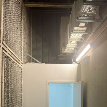 vertente profana - Maia - Pressure Washing