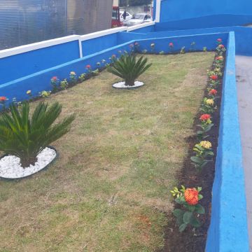 Jackson Jks - Olhão - Shrub Removal