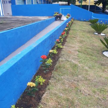 Jackson Jks - Olhão - Tree Stump Grinding and Removal