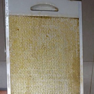 Polylimp serviços de Limpezas - Seixal - Limpeza Geral