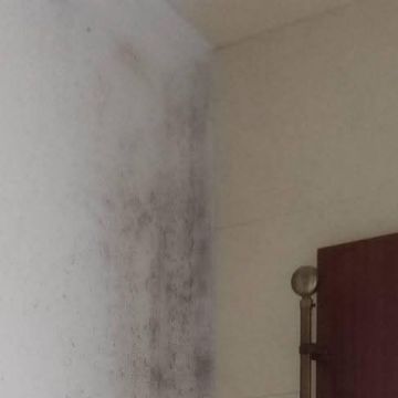 Polylimp serviços de Limpezas - Seixal - Limpeza da Casa (Recorrente)