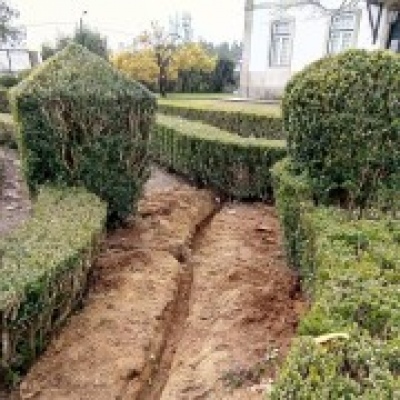 Figueiras-Garden Solutions - Póvoa de Varzim - Fertilização