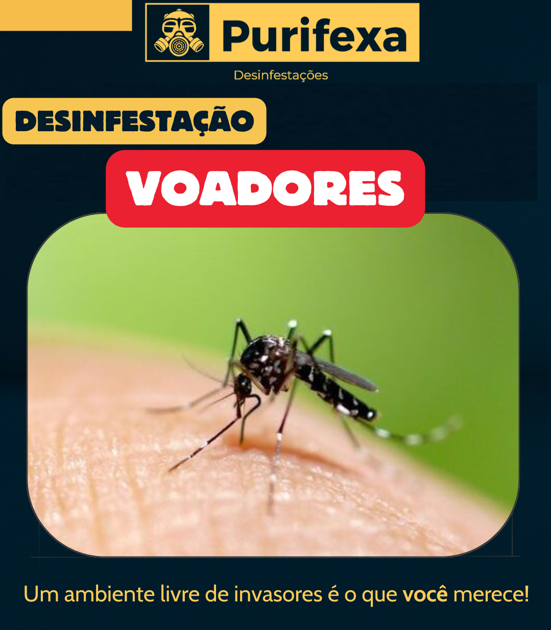 Purifexa - Odivelas - Controlo de Pragas