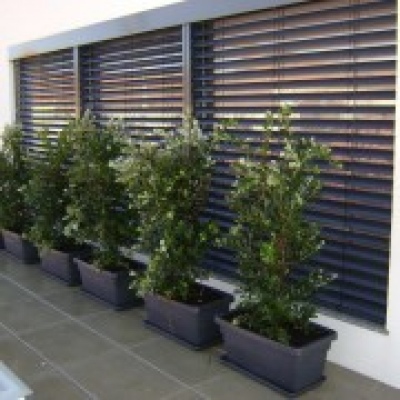 Figueiras-Garden Solutions - Póvoa de Varzim - Paisagismo