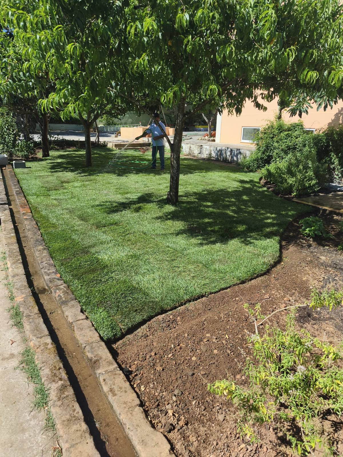 Jardinagens Martins - Santarém - Servicios de invernadero
