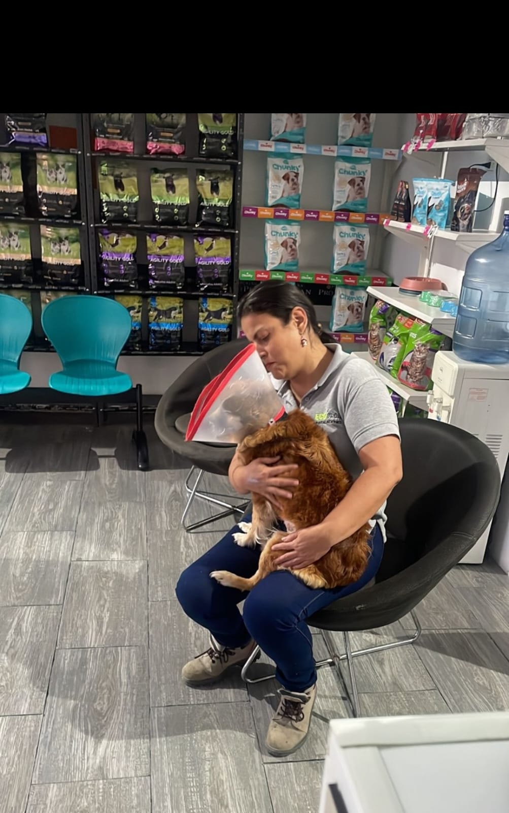 Janneth - Odivelas - Pet Care and Grooming