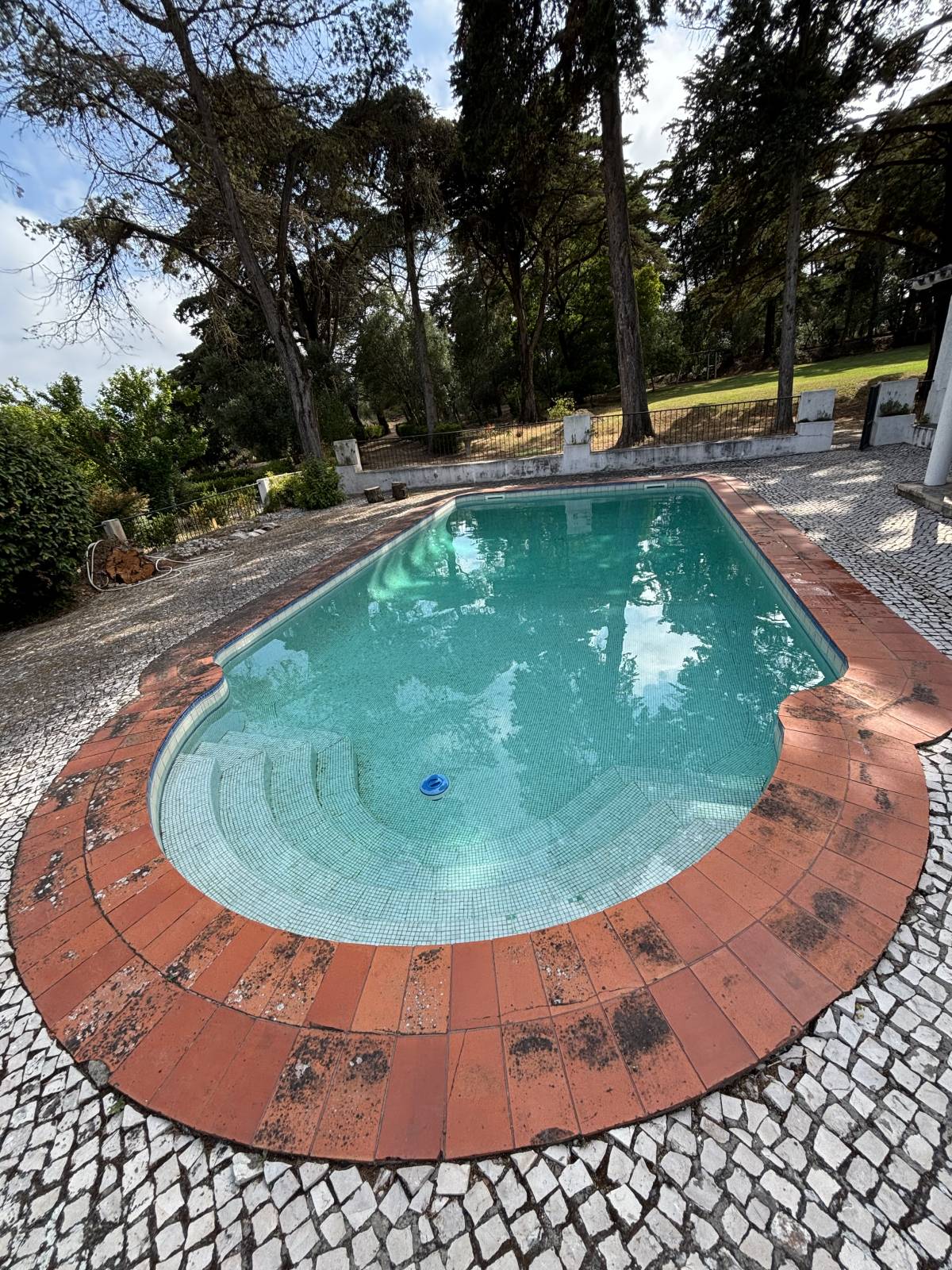 Carlos de Oliveira Cruz - Cascais - Limpeza ou Manutenção de Piscina