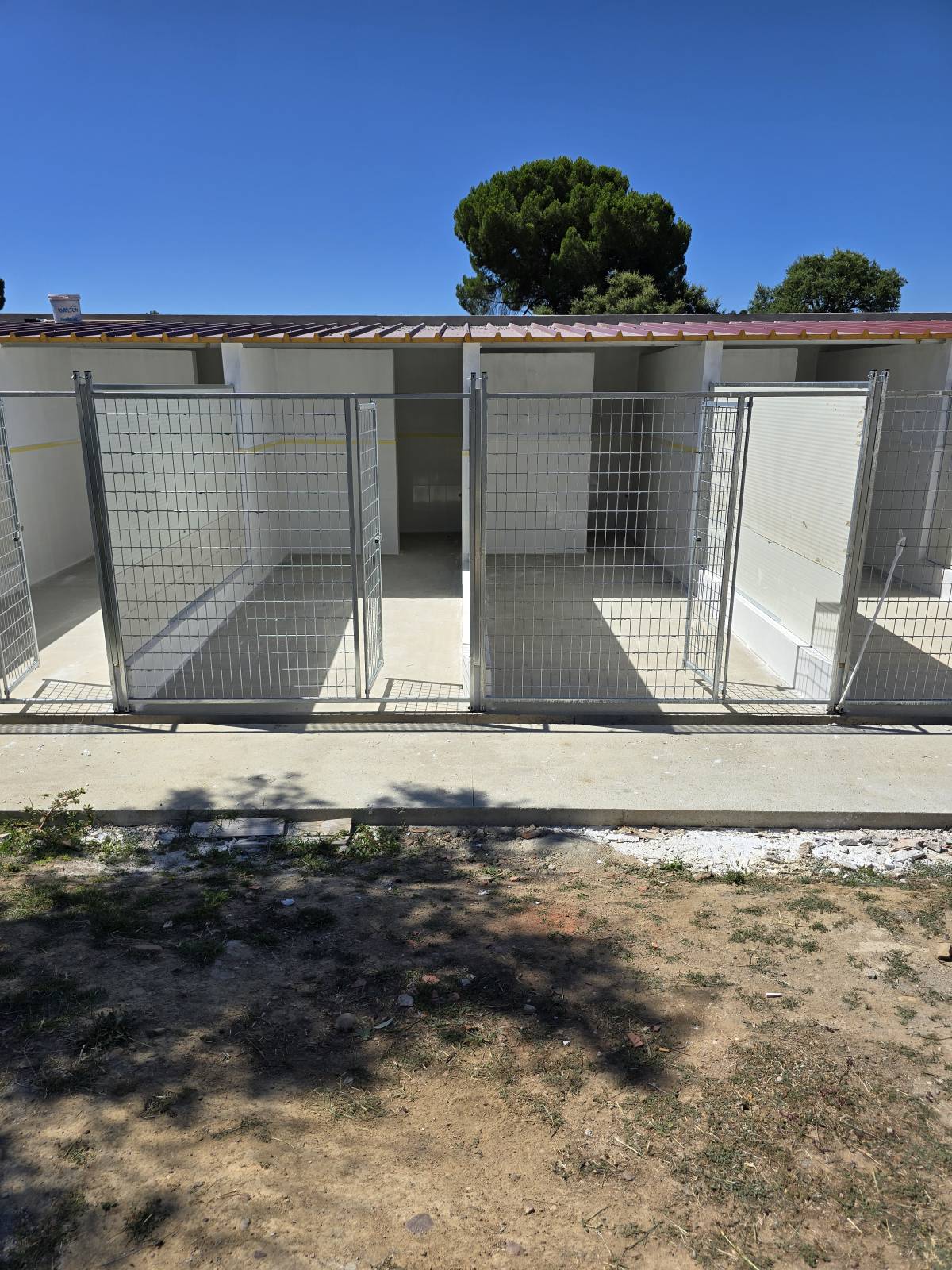 Hotel Canino Lareão em Constância - Constância - Hotel para Cães