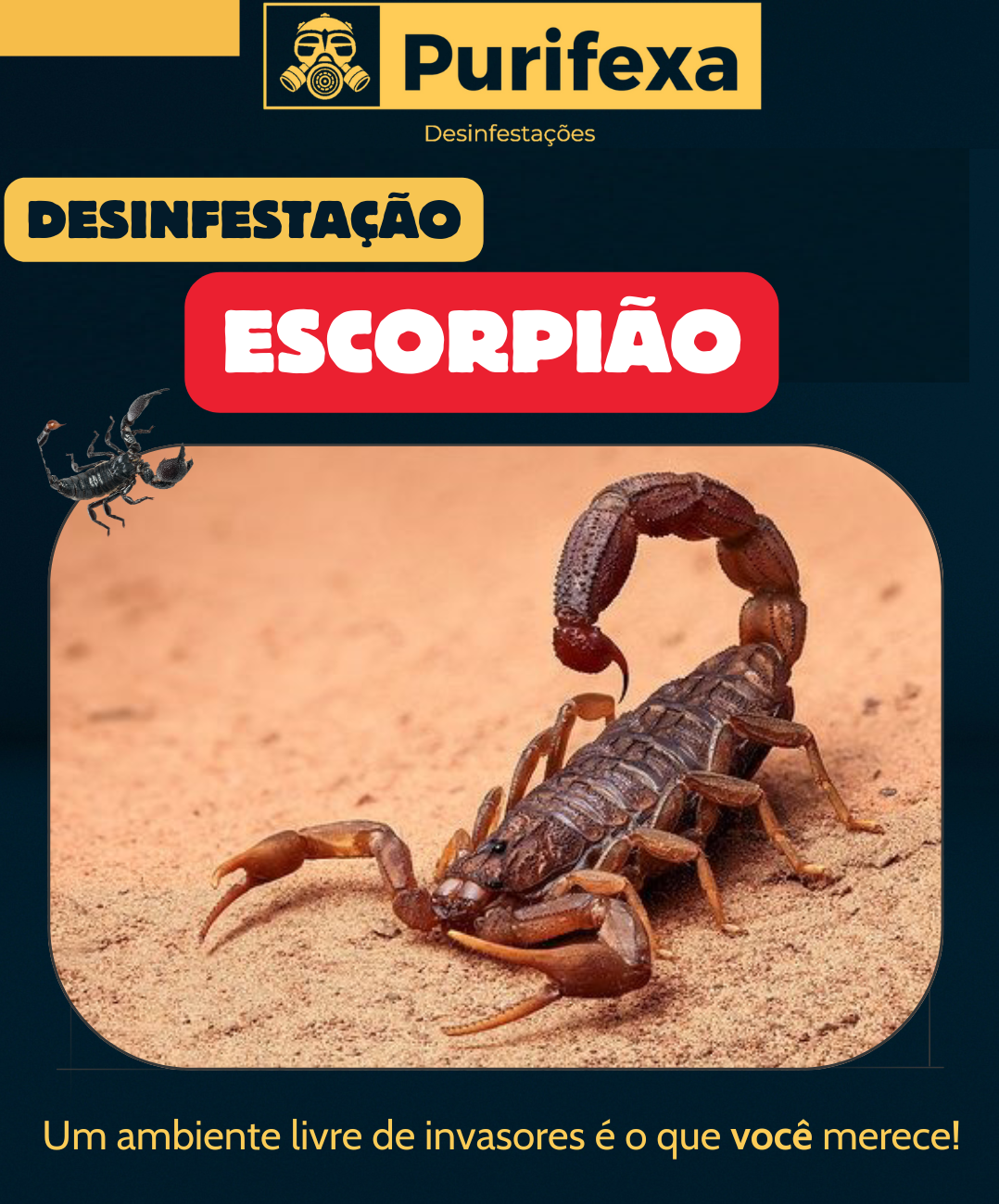 Purifexa - Odivelas - Desbaratização