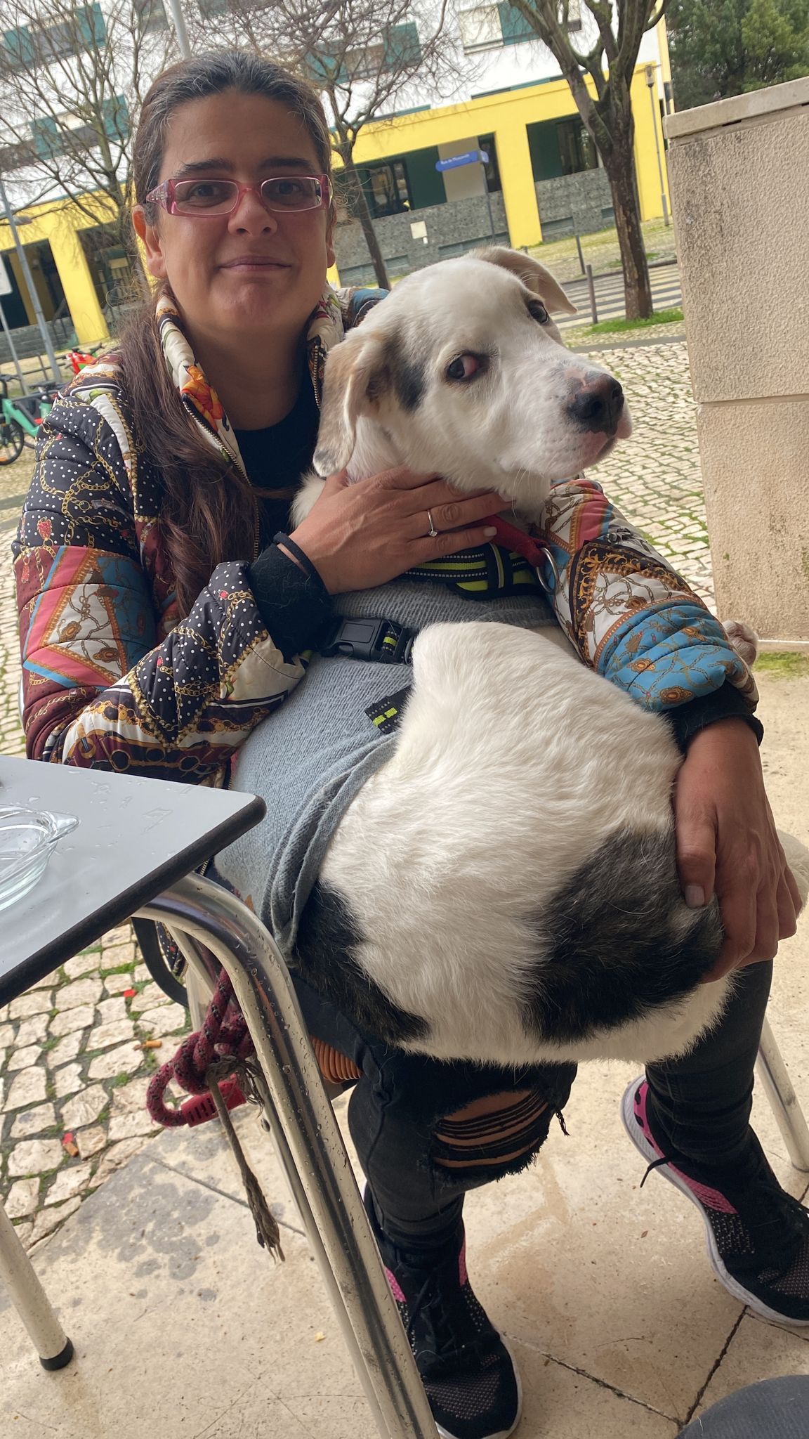 Andreia costa - Lisboa - Dog Walking
