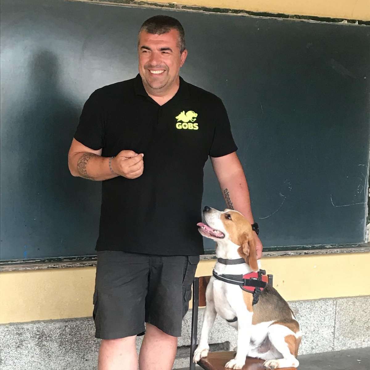 Paulo Leite - Póvoa de Varzim - Treino de Cães - Aulas
