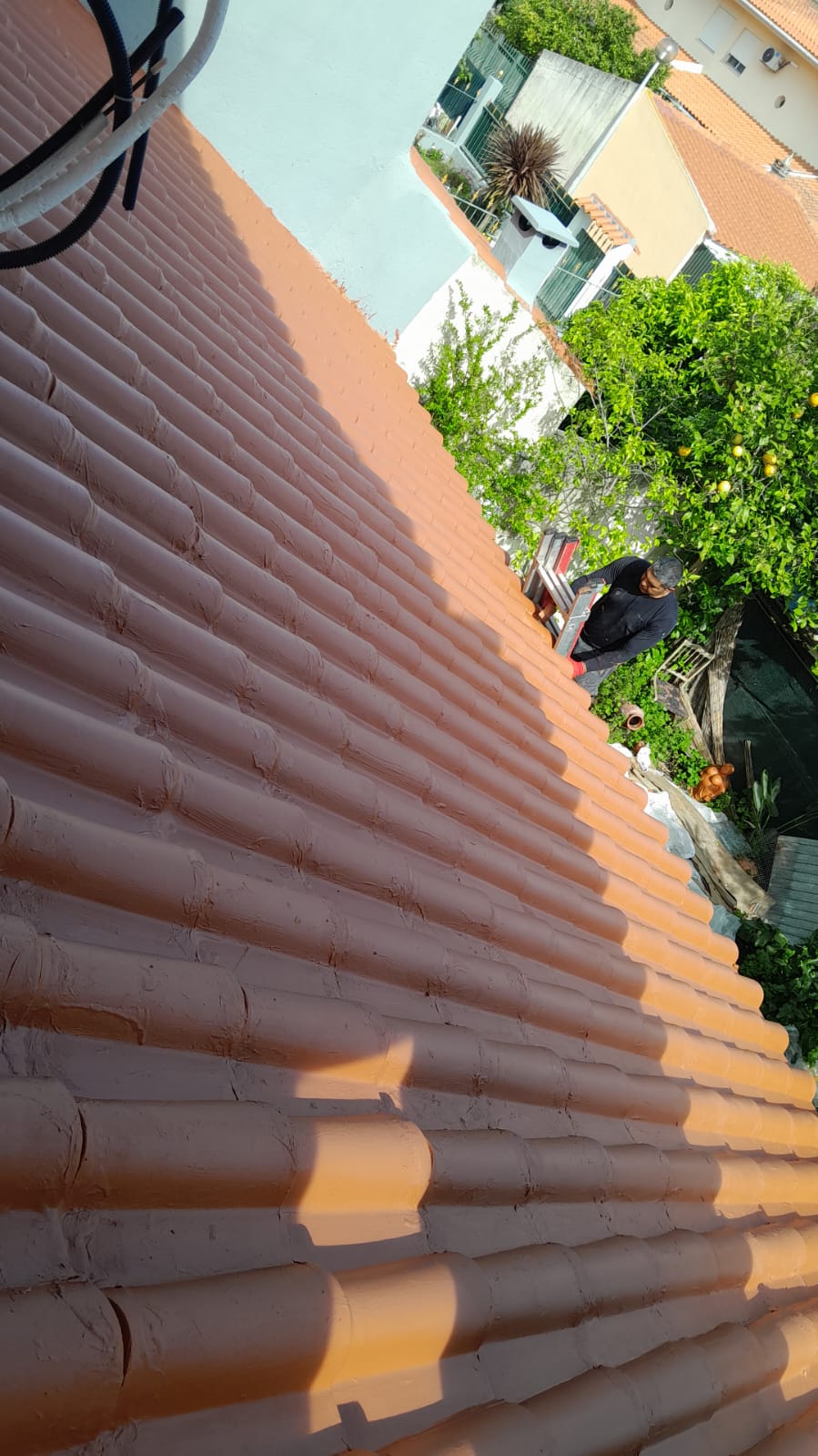 Roof Repair or Maintenance - Roofing