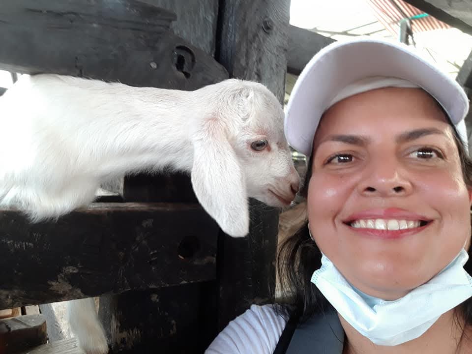 Janneth - Odivelas - Baths and Grooming for Animals