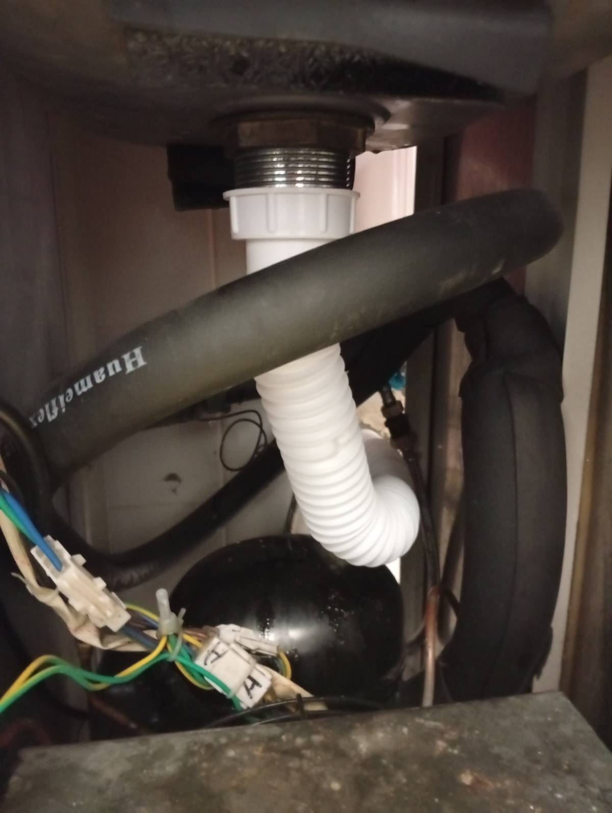 Luciano Oliveira - Seixal - Eliminación de arbustos