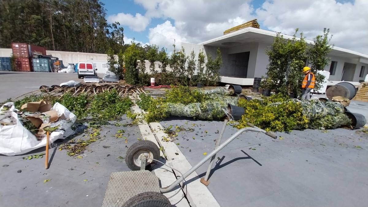Figueiras-Garden Solutions - Póvoa de Varzim - Shrub Planting